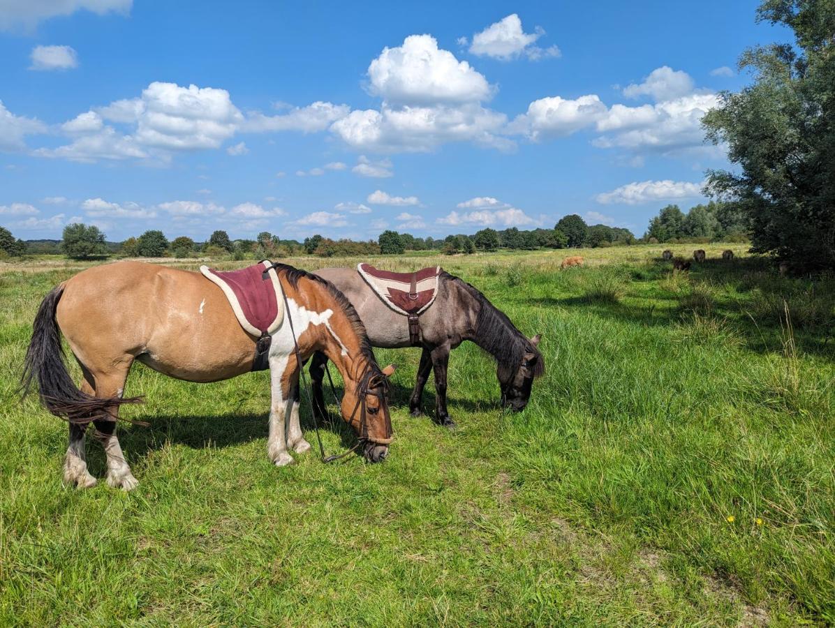 Klavertje 4 Middelaar Екстер'єр фото